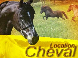 cheval prestation événementielle